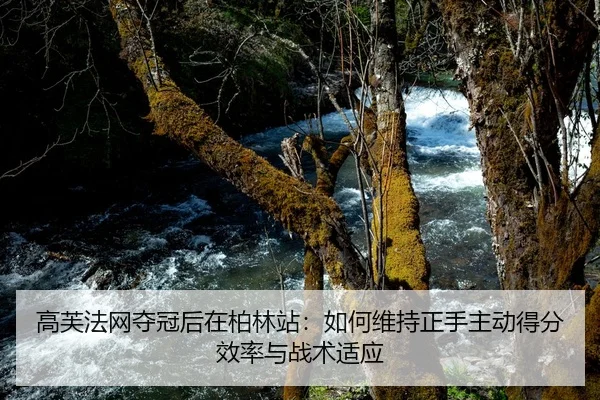 高芙法网夺冠后在柏林站：如何维持正手主动得分效率与战术适应